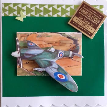 Celebration Plane