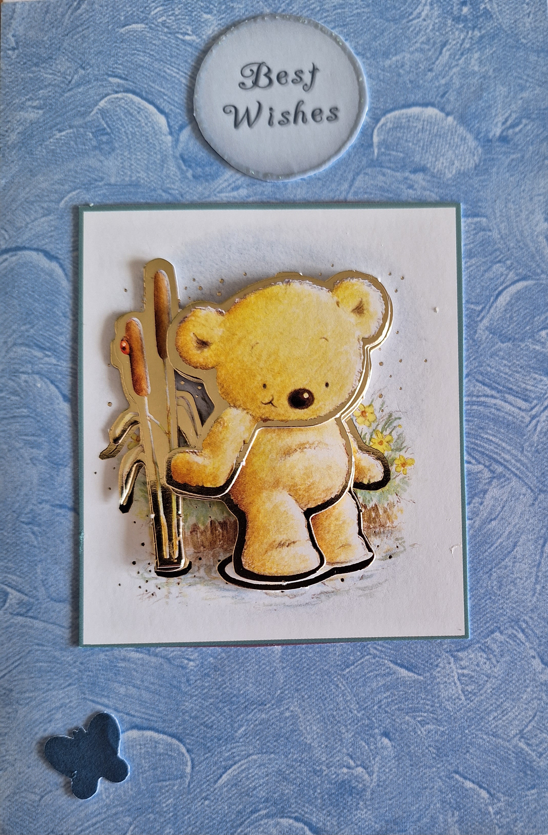 Beary Wishes