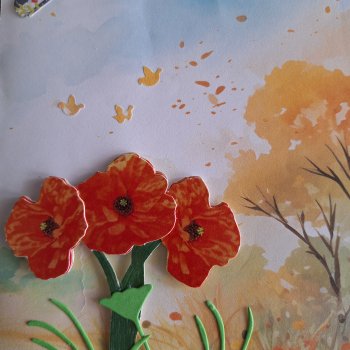 Poppy Field