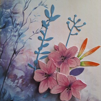 Pink And Blue
