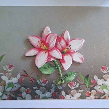 Pretty Pink Lillies
