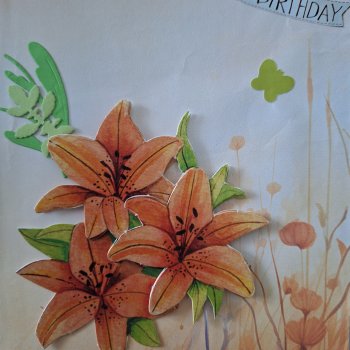 Birthday Lillies