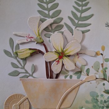 Magnolia Barrow